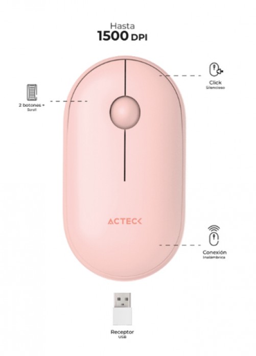 Imagen principal