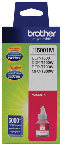 Imagen principal