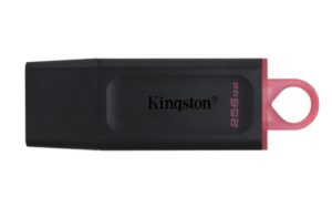 Memoria usb Kingston DataTraveler Exodia 256 GB, 3.2 Gen 1 3.1 Gen 1, Color Negro